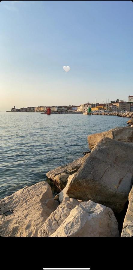Star Apartment بيران المظهر الخارجي الصورة